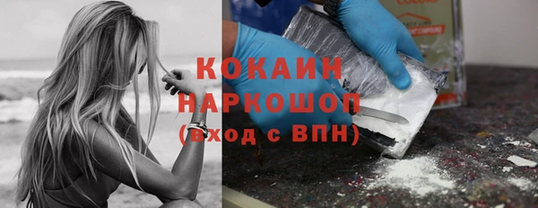 шишки Коряжма