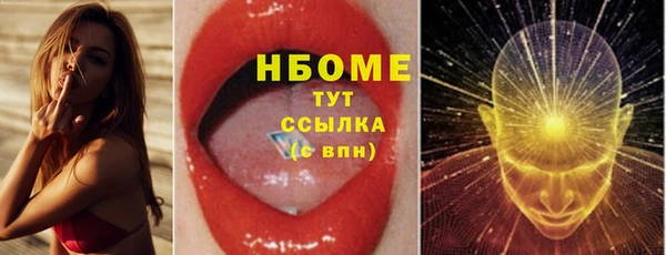 шишки Коряжма