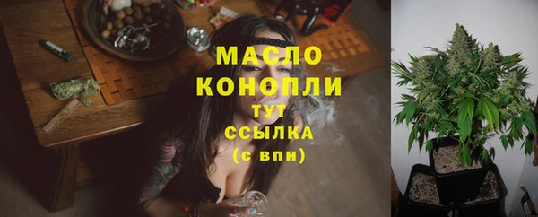 шишки Коряжма