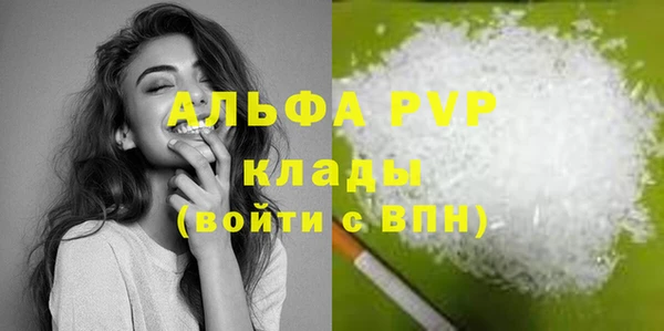 спиды Корсаков