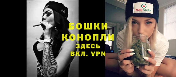 шишки Коряжма