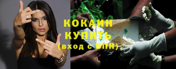 шишки Коряжма