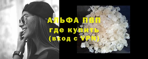 спиды Корсаков