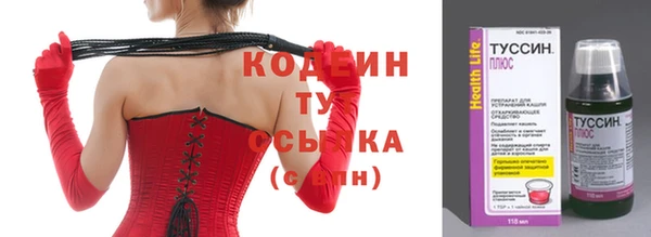 спиды Корсаков
