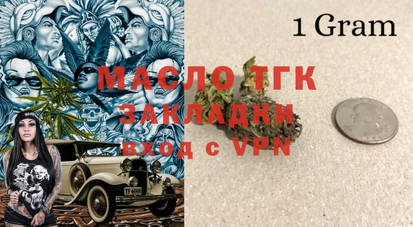 шишки Коряжма