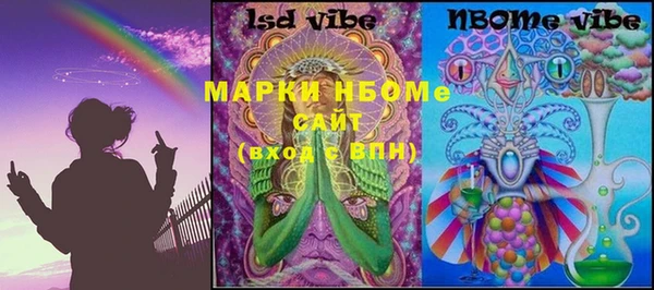 шишки Коряжма