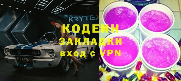 шишки Коряжма