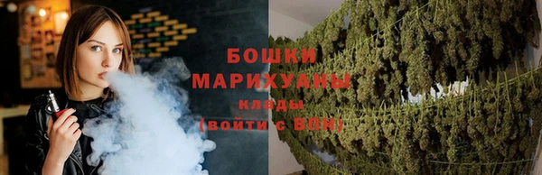 шишки Коряжма