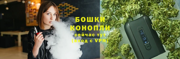 шишки Коряжма