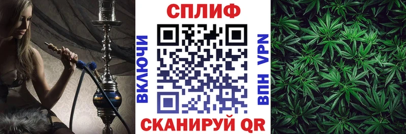 Бошки марихуана сатива Эртиль